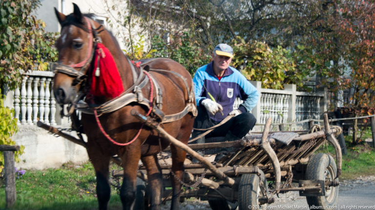 Brown horse in red-trimmed harness pulling a wooden cart driven by a seated man along a village road.