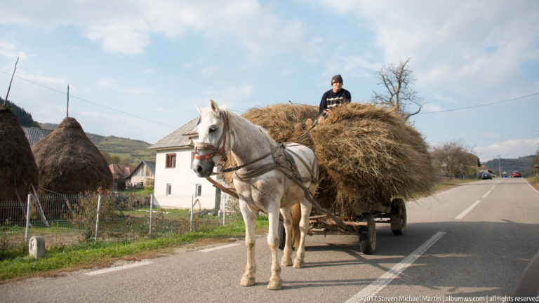 White horse pulling a cart piled high with hay along a paved village road, with haystacks beside a house.