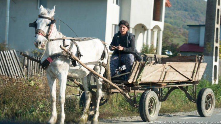 Woman driving a white horse harnessed to an empty wooden cart along a village roadside.