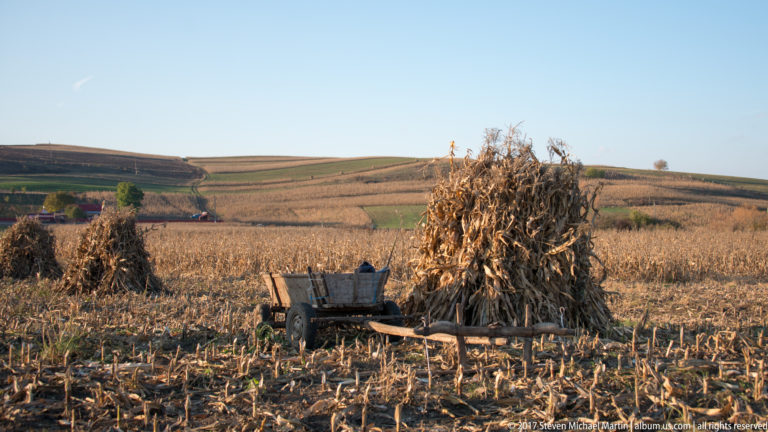 Wooden farm cart beside tall bundled corn stalks in a harvested field with rolling cultivated hills behind.