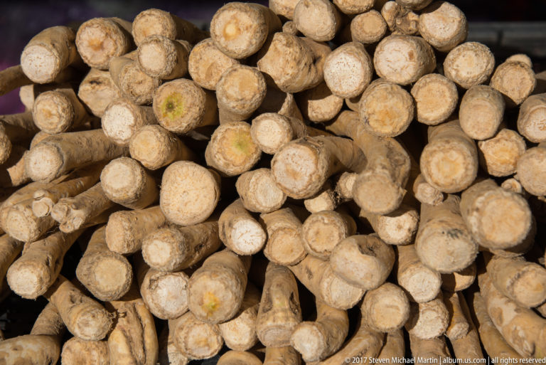 Close-up of thick dirt-covered beige root vegetables piled together with cut ends and branching shapes.