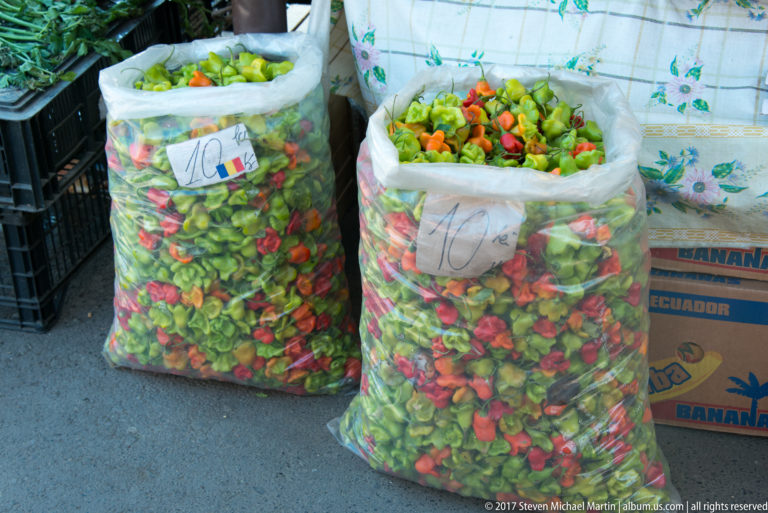Two large clear sacks packed with small green and red peppers, each marked with a handwritten 10 price sign.