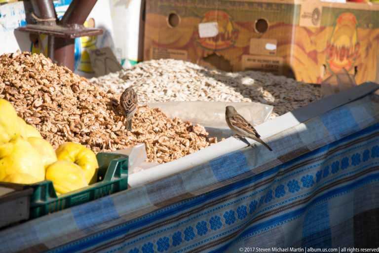 Small sparrows perched on and beside open market bins filled with loose grain and seeds.
