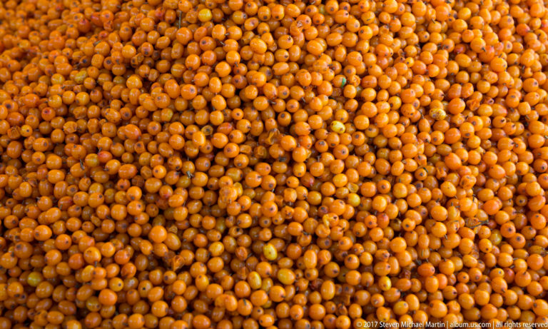 Close-up of hundreds of small orange sea buckthorn berries packed densely together in a market display.