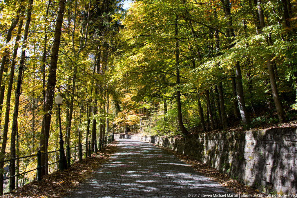 Paved path curves through dense deciduous woodland beside a low stone wall in Sinaia.