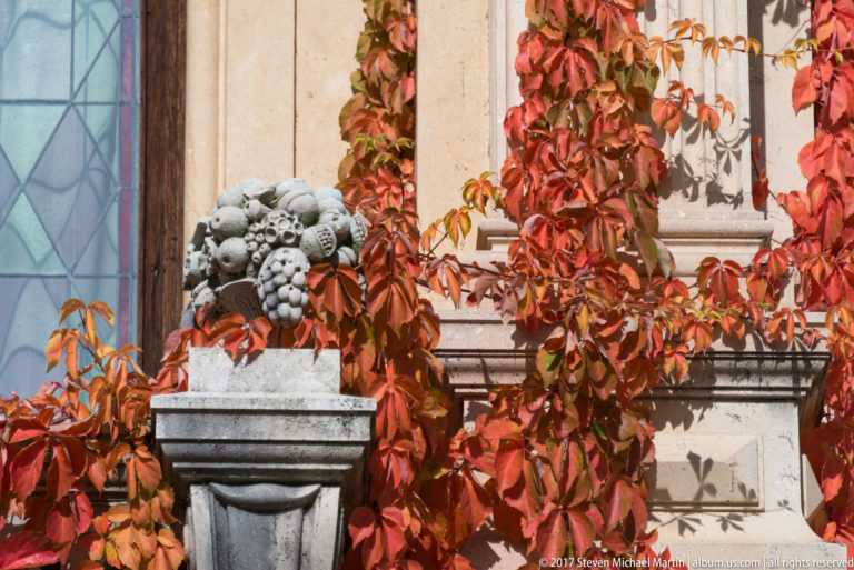 Clustered stone fruit crowns a square pedestal in front of a pale wall and window, surrounded by vivid red-orange climbing foliage