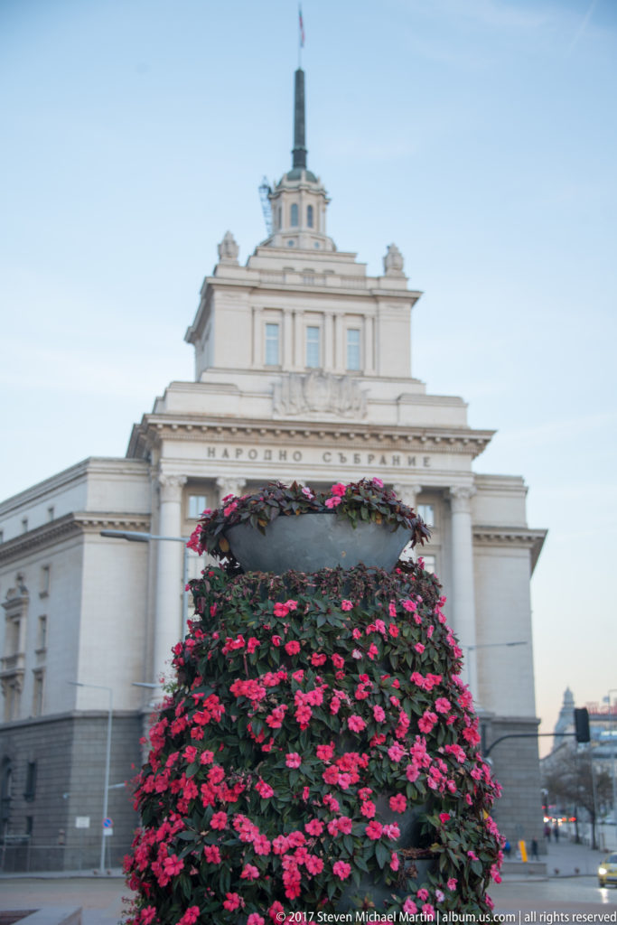 Bulgarian National Assembly behind a large tiered display of pink flowers, with rooftop flag and classical portico visible.
