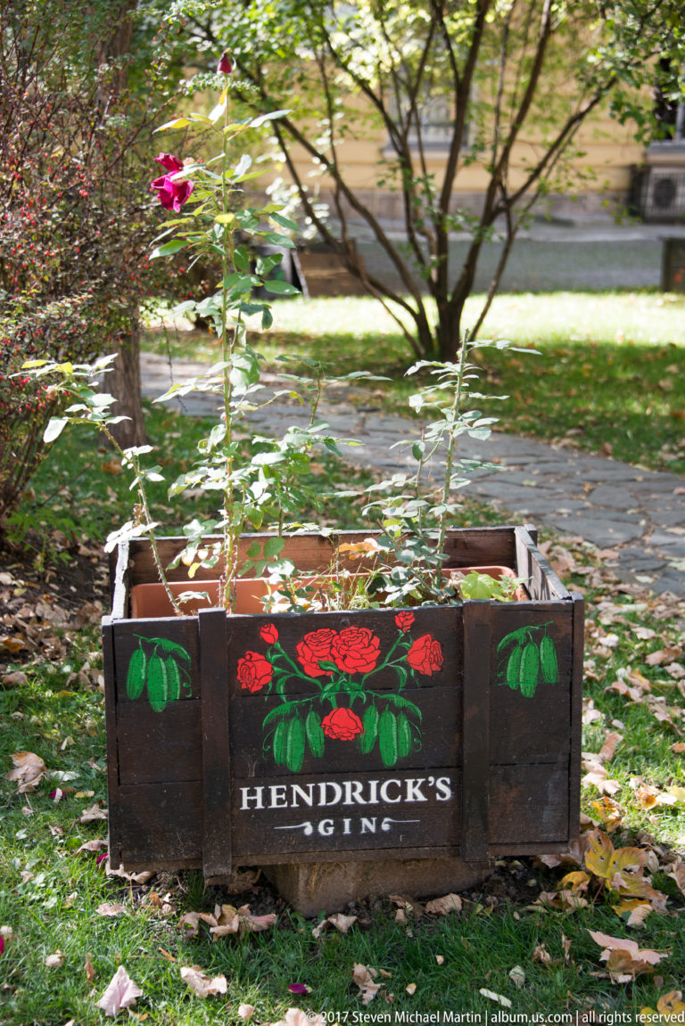 Wooden Hendrick’s Gin crate repurposed as a planter, holding small plants in a leafy Sofia park.
