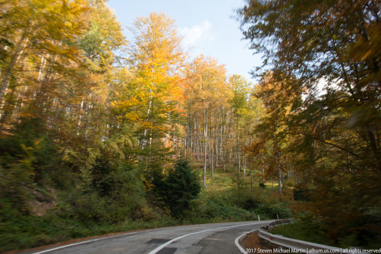 Curving two-lane road with guardrail passing through dense yellow and orange autumn forest.