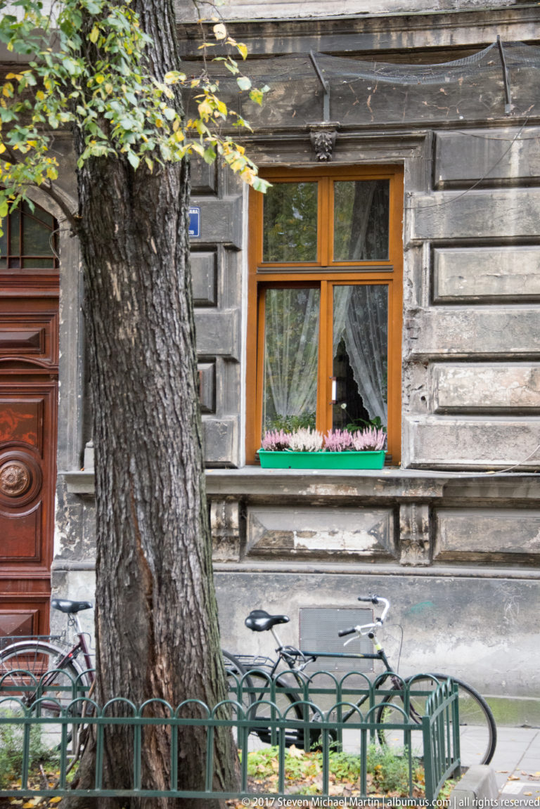 Weathered Kraków residential façade with a wooden window, lace curtains, mature tree, bicycle, and low metal fence.