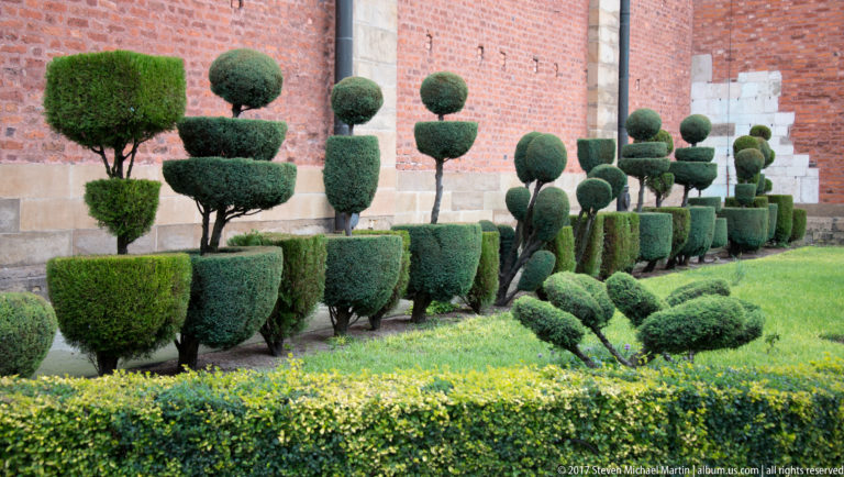 Formal topiary garden in Kraków with geometric clipped shrubs, low hedges, lawn, and a tall historic brick wall.