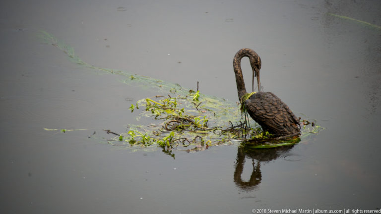 Dark swan-shaped metal sculpture standing in a pond with aquatic plants and a reflected silhouette.