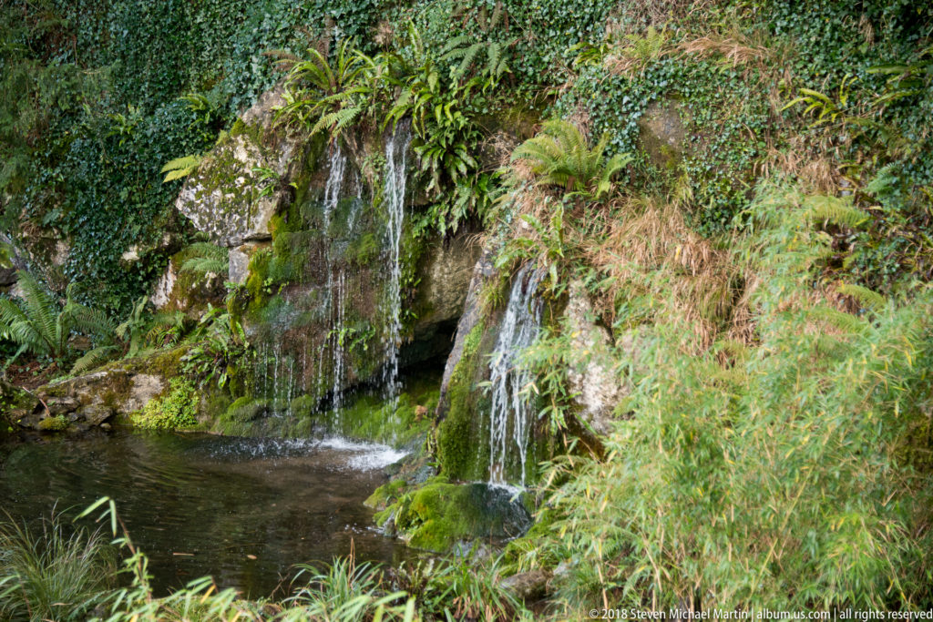 Small waterfall flowing over mossy rock ledges into a pool surrounded by ferns and dense garden vegetation.