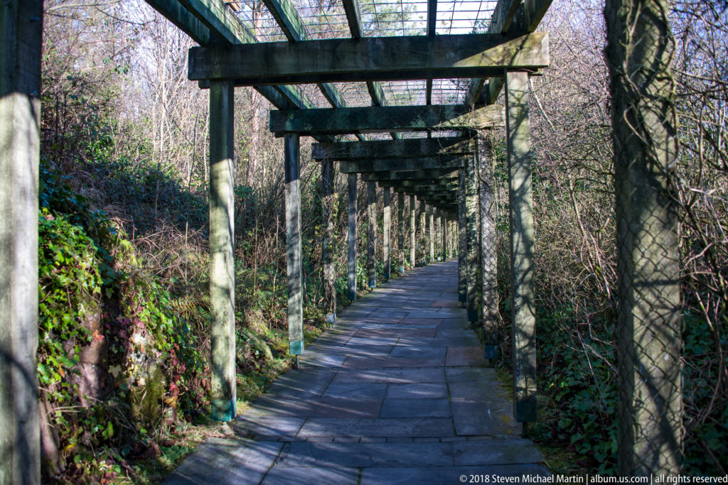 Paved walkway running beneath a long timber trellis through leafless woodland with ivy along one side.