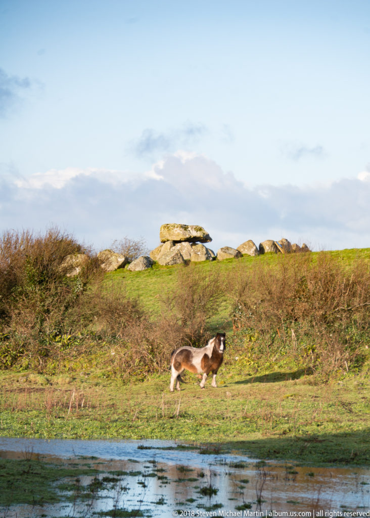 Piebald horse running across pasture below a ridge lined with megalithic stones and a broad capstone.