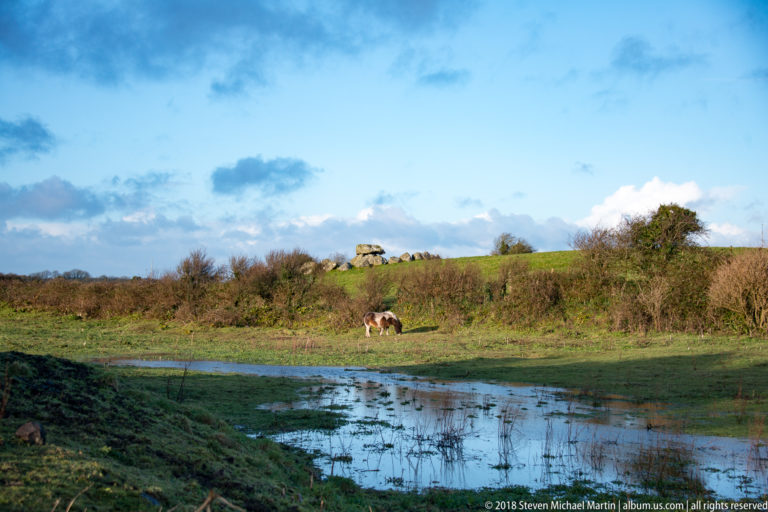 Small megalithic tomb on a grassy ridge beyond a grazing horse and shallow standing water.