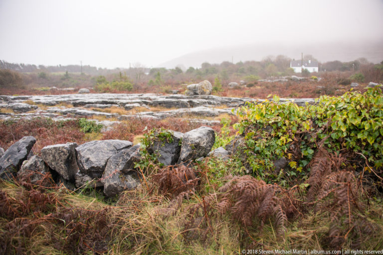 Gray limestone pavement and a low dry-stone wall amid bracken and shrubs, with a white building fading into mist.
