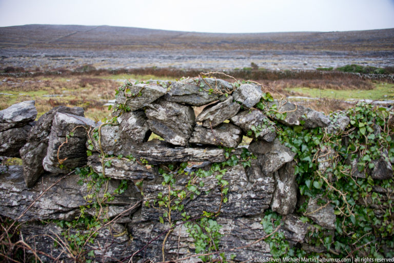 Close view of an irregular dry-stone limestone wall partly covered with green ivy, with rough pasture behind.