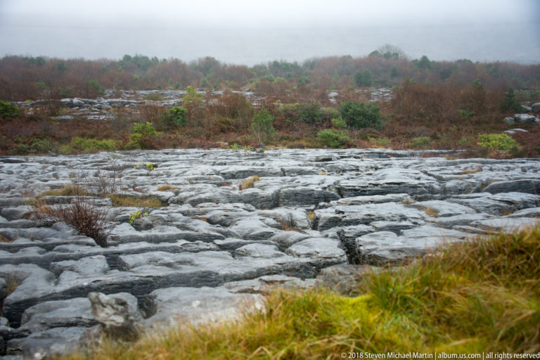 Fractured gray limestone pavement with mossy seams and low shrubs, backed by a misty dark ridge.