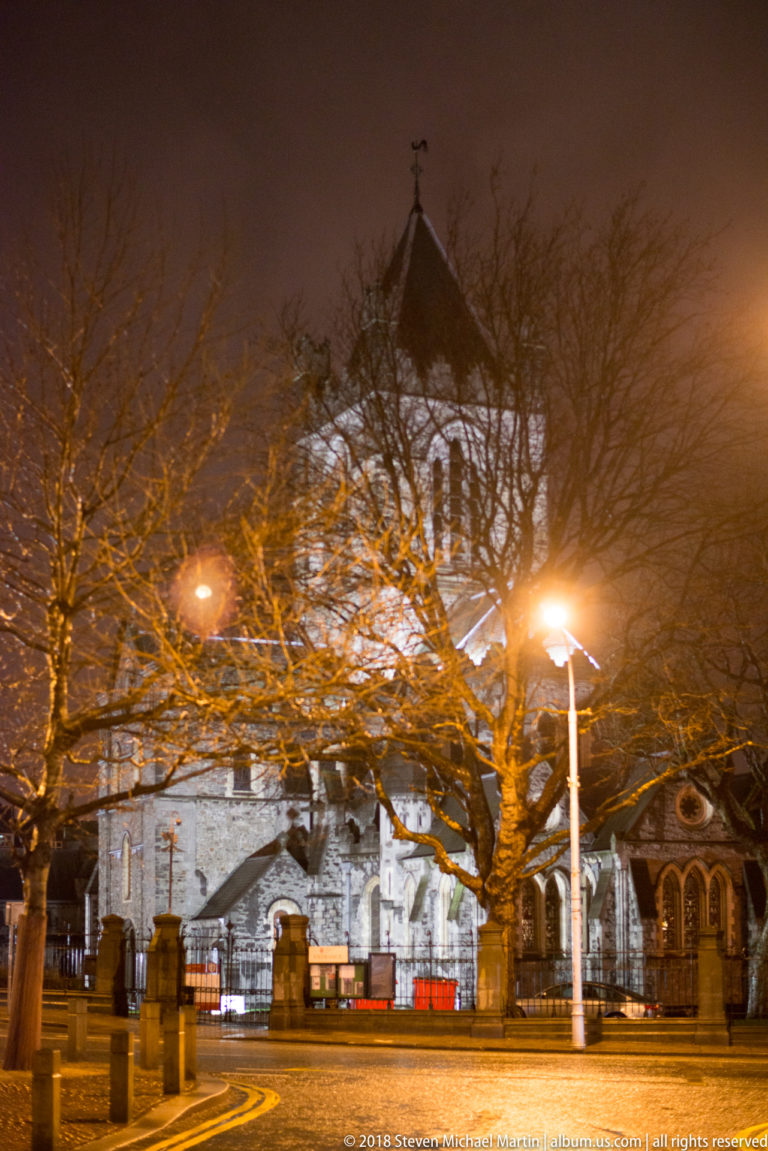 Christ Church Cathedral at night, partly obscured by bare trees and streetlights beside a Dublin roadway.