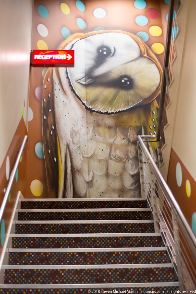 Large owl mural overlooking an indoor staircase, surrounded by colorful circular wall and ceiling decorations.