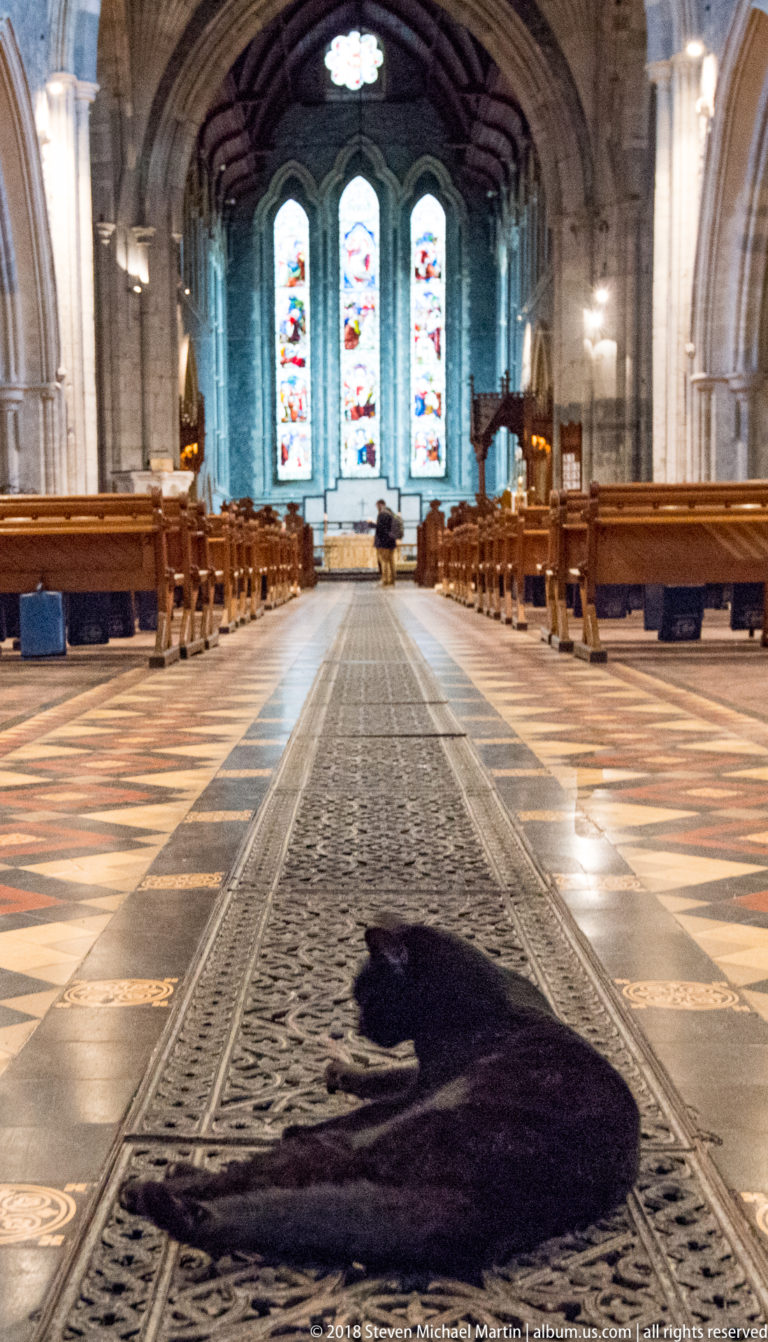 Black cat on the central runner of St Canice’s Cathedral nave, with pews and stained-glass windows beyond.