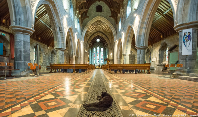 Wide cathedral nave with pointed arches, patterned tile floor, stained glass and a black cat centered on the aisle.