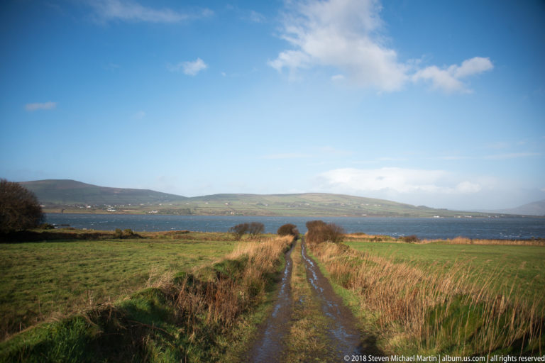 Narrow muddy farm track between green pasture and tall reeds leading toward blue water and low hills.