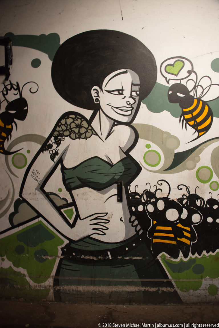 Street-art mural of a dark-haired woman surrounded by large cartoon bees and graphic floral shapes.