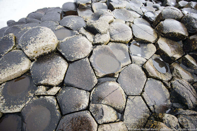 Close overhead view of wet polygonal basalt tops with pale staining, dark joints, and shallow puddles.