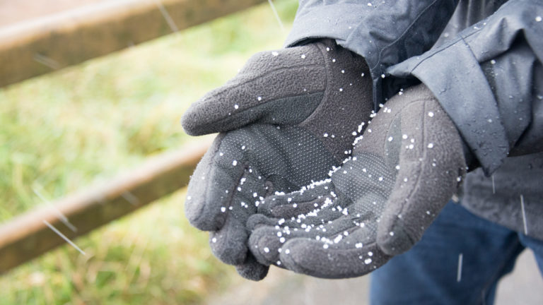 Black gloved hands holding numerous small white pellets of hail or graupel during wintry weather.