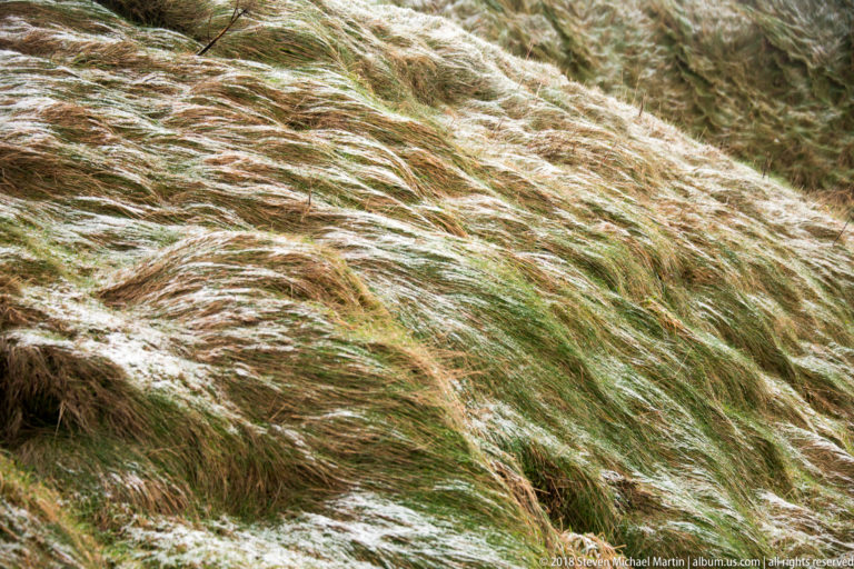 Wind-flattened tawny grass streaked with white sleet or hail on a coastal slope.