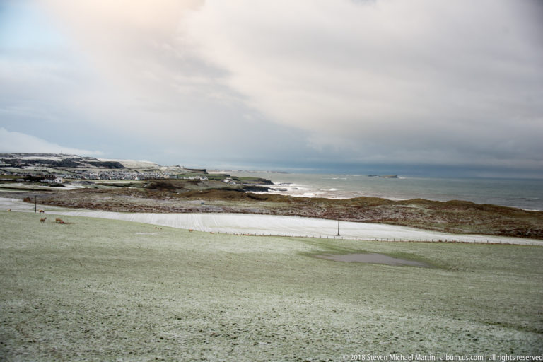 Snowy grassland above a rocky shoreline with white surf under a low gray winter sky.
