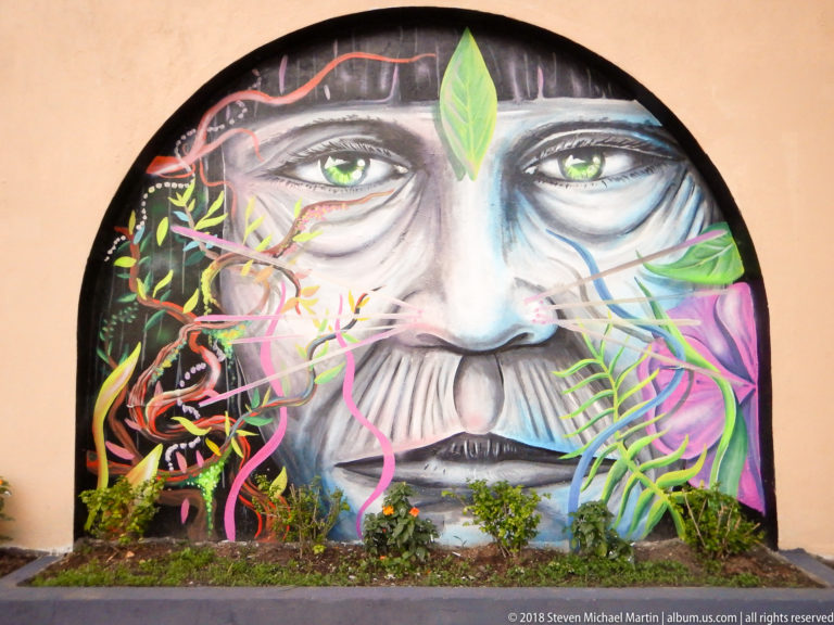 Large mural of a pale face with green eyes, surrounded by colorful tropical leaves and vines in an arched recess.