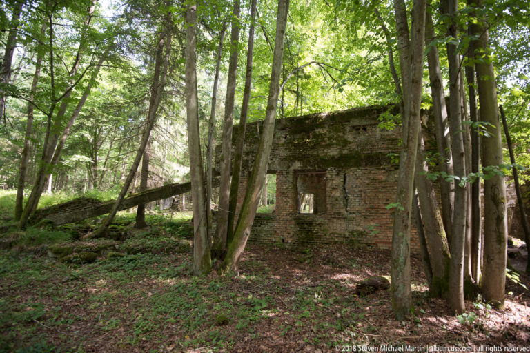 Roofless red-brick ruin with a rectangular window opening surrounded closely by trees and leaf-covered ground.