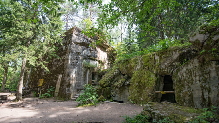 Wolf’s Lair