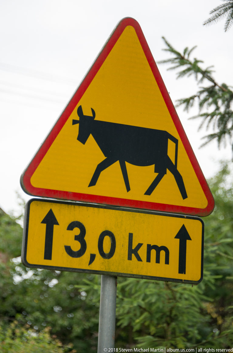 Yellow triangular cattle warning sign above a supplementary plate marked 3.0 km, with green roadside vegetation behind it.