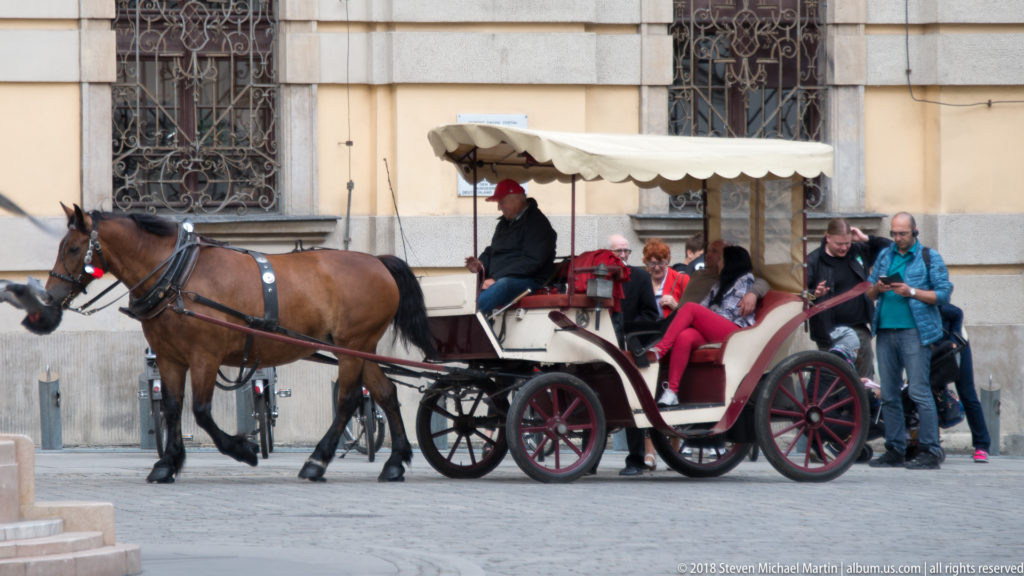 Brown horse harnessed to a red-and-white covered sightseeing carriage with passengers and pedestrians beside the university building.
