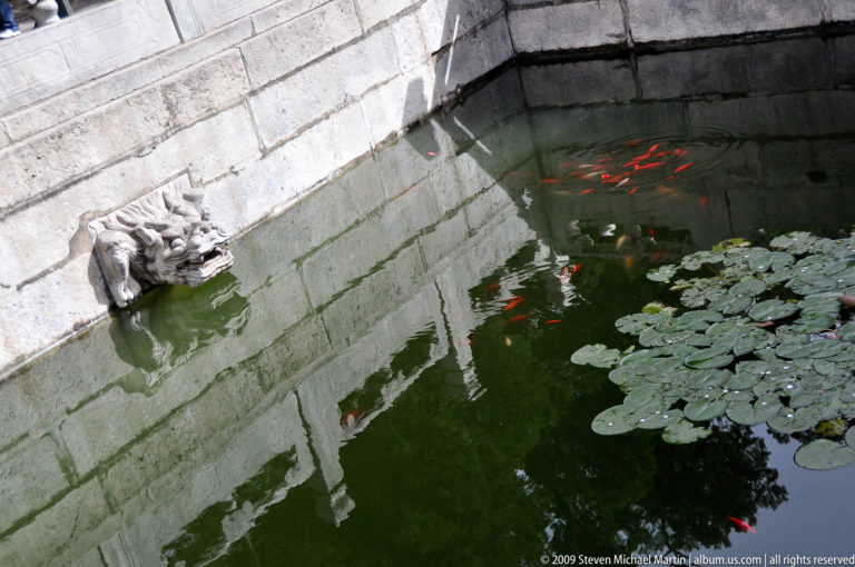 Overhead view of a stone-lined palace pond with green water, circular lily pads, and several orange goldfish near the top right.