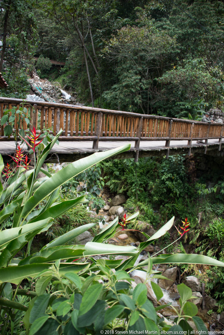Wood-railed pedestrian bridge crossing a rocky stream amid dense green foliage and red tropical flowers.