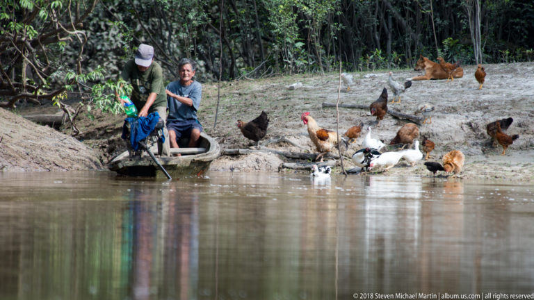 Two people beside a narrow canoe at a muddy riverbank crowded with free-ranging chickens and ducks.