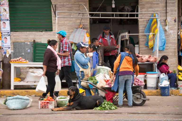 Crowded sidewalk stall with raw meat, vegetables, shoppers, a handcart, sacks, and a black dog resting in front.