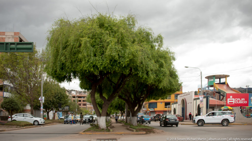 Broad urban avenue with a mature tree in the median, cars, streetlights, and low commercial buildings.