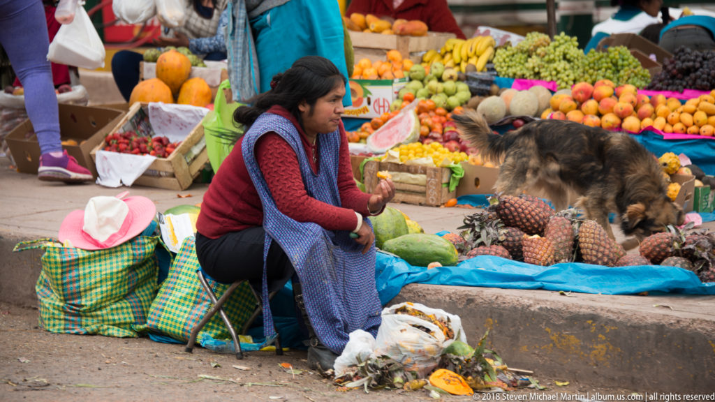 Seated market woman facing a large shaggy dog beside pineapples, melons, and other produce on a blue tarp.