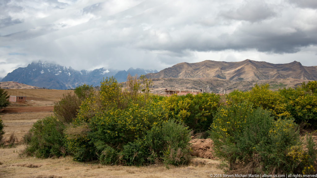 Yellow-flowering shrubs in front of dry Andean ridges and distant jagged mountains beneath heavy clouds.