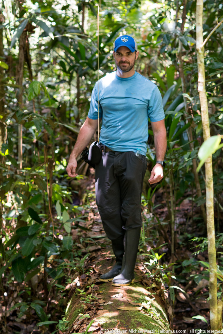 Visitor in blue shirt and cap walking toward the camera along a fallen-log path in dense rainforest.