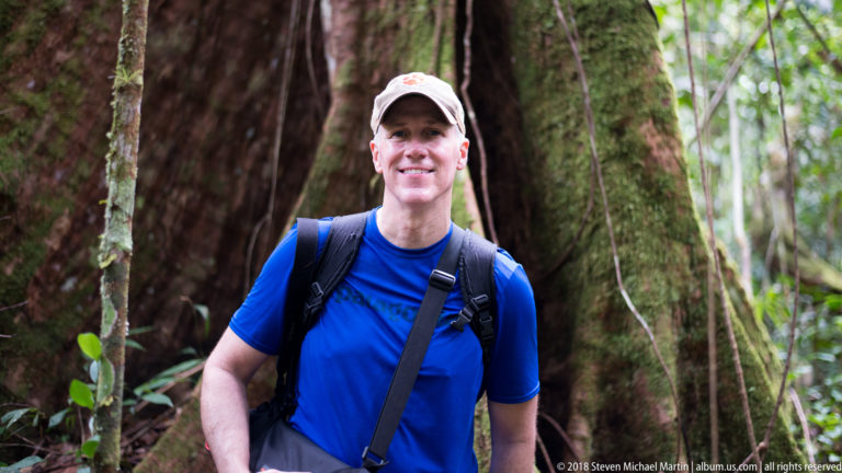Hiker in a blue shirt and cap standing beside the buttressed trunk of a large rainforest tree.
