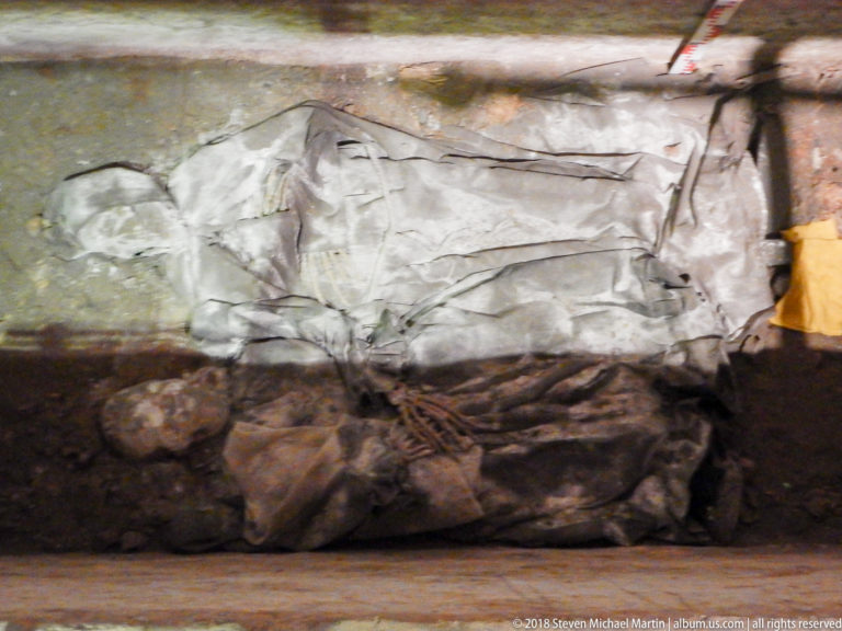 Extended human skeleton exposed in a shallow grave, with skull, torso, limb bones, surrounding soil, and roots visible.