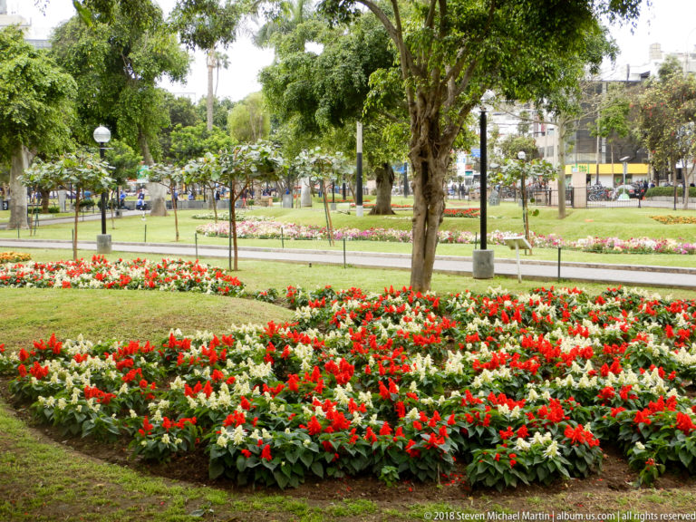 Red and white flower beds curve beneath mature trees in a landscaped Miraflores park with paths and lampposts.