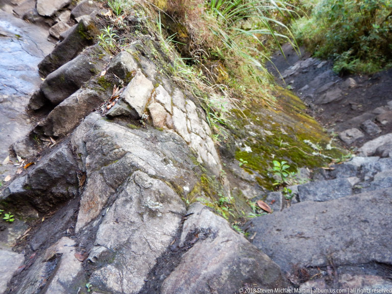 Damp irregular stone steps cross exposed bedrock with moss and grasses on the Huayna Picchu trail.